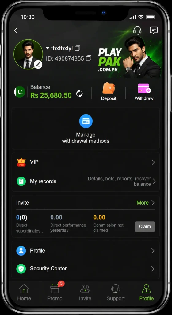 PlayPak gaming profile dashboard interface