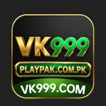 VK999 logo with PlayPak branding
